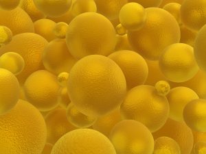 脂质体 检测 释放度