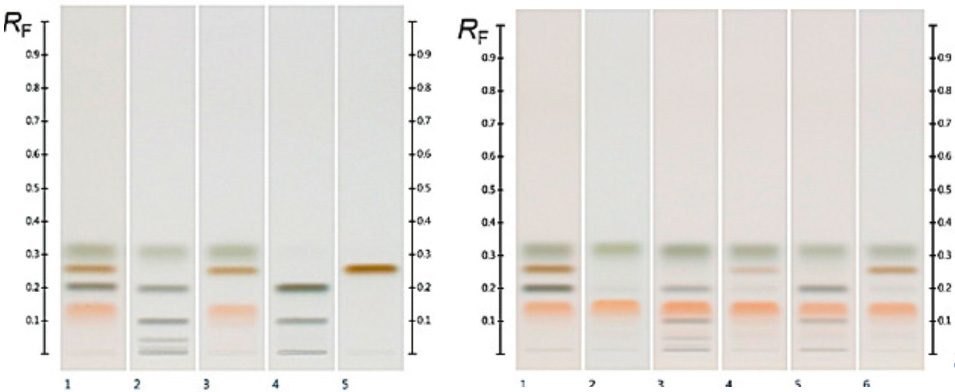  HPTLC (高效薄层色谱) 麦卢卡蜂蜜化合物检测