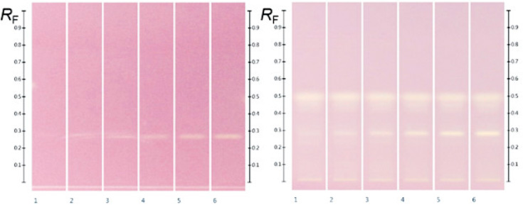  HPTLC (高效薄层色谱) 蜂蜜检测-快速评估抗氧化活性